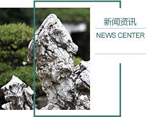 双辽市